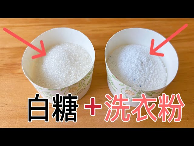 washing powder sugar  life hacks White sugar and washing powder are used together