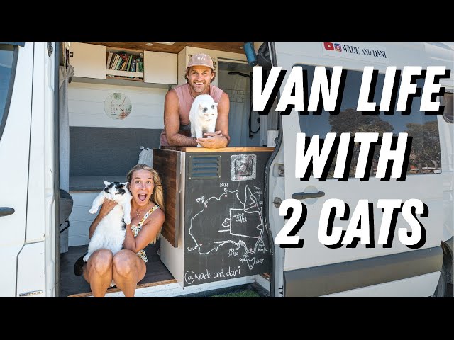 TRAVELLING FULL TIME WITH 2 CATS - How We Do It!