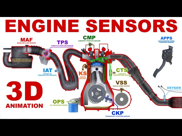 Engine Sensors - Basics. 3D Animation