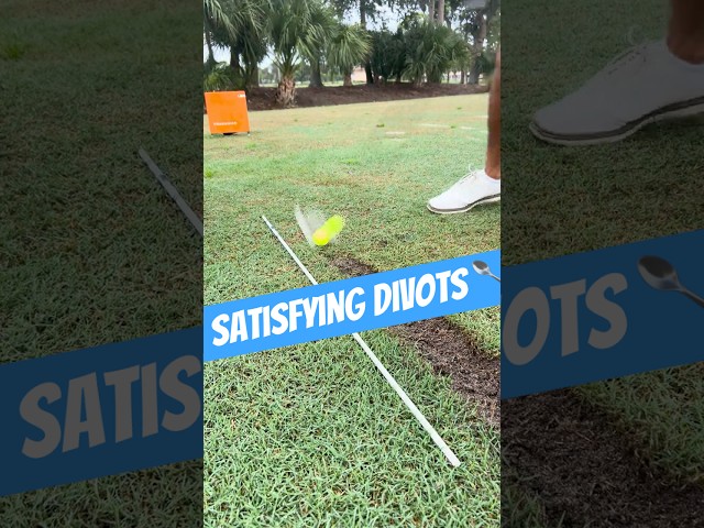 Satisfying Golf Divots #golf #shorts #satisfying