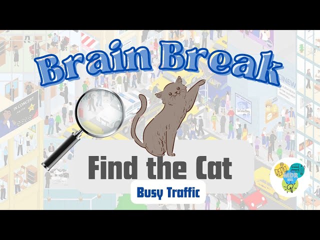 Brain Teaser - Busy Traffic  - Can You Find The Cat Hidden In This Video?