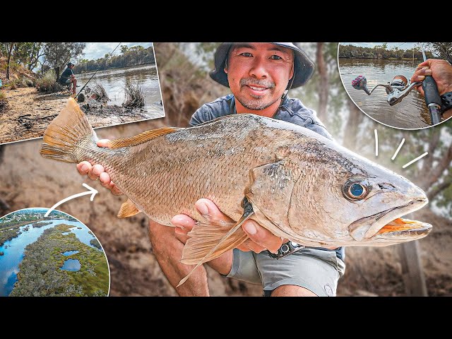 "Ghost Fish of the Swan River: Catching a Mulloway!"