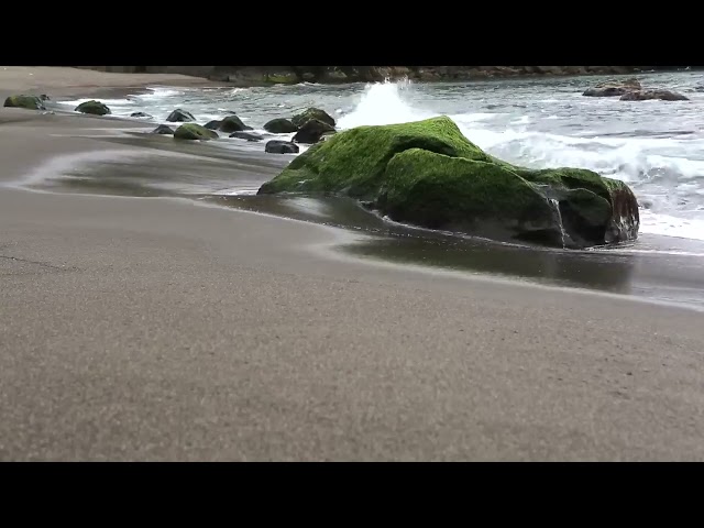 sea waves_beach drone video_ free hd video- non copyrighted video