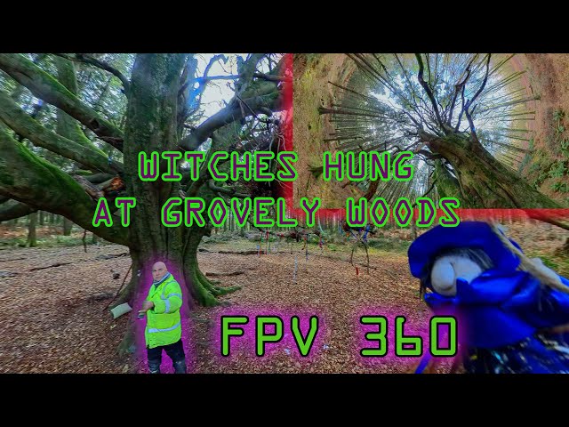 360VR Witches were Hung here at Handsel Trees Grovely Wood