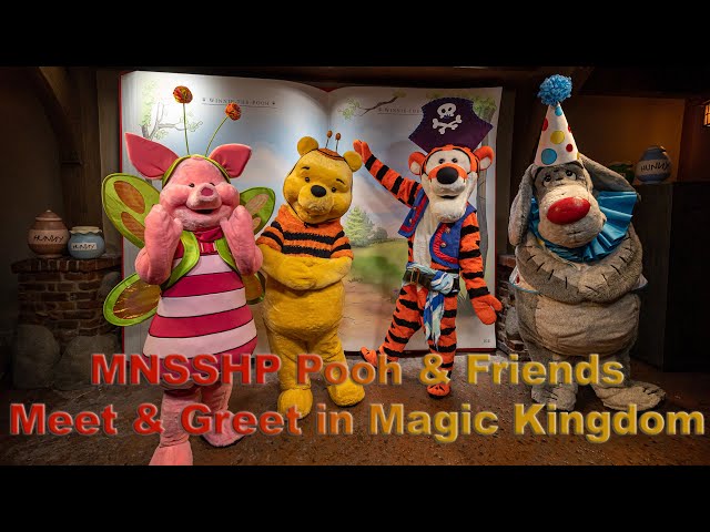 8K MNSSHP Pooh & Friends Meet & Greet in Magic Kingdom VR180 3D