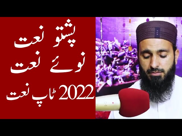 Best Naat 2022 in pashto|domra khugh awaz ba taso nai awredalai|khugh naat خوگ نعت|yaqeen pashto