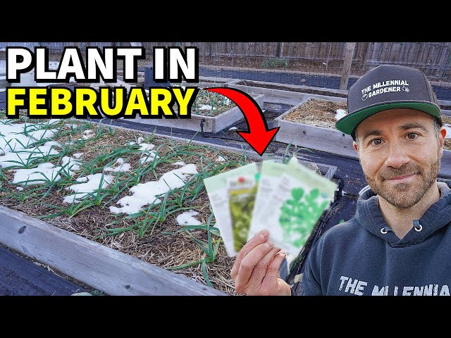 44 Veggies You Can Plant In February RIGHT NOW!