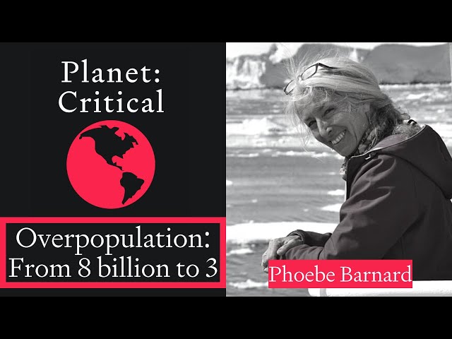 Overpopulation: From 8 billion to 3 | Phoebe Barnard