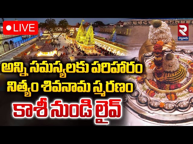 🔴LIVE : కాశీ శివలింగం లైవ్‌ దర్శనం | Kashi Vishwanath Darshan | Lord SIVA Live | RTV Nellore