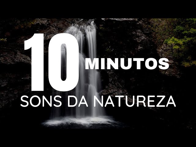 (Tente Ouvir 3 Minutos) SONS DA NATUREZA - SONS PARA RELAXAR - SONS PARA DORMIR