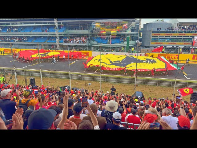 FERRARI WINS MONZA! Full Crowd Reaction to Leclerc's Monza Win