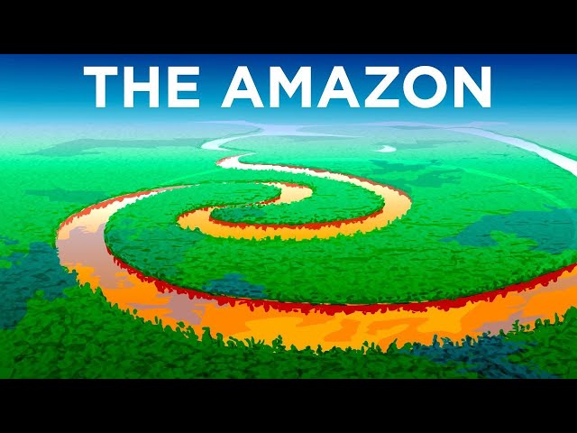 अमेज़न जंगल कैसे बना ? How a Mass Extinction Event Created the Amazon