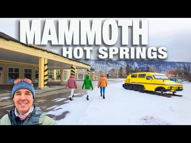 Virtual Walk: Yellowstone Mammoth Hot Springs Village in December | 4K Nature Walk ❄️🌲🔥 - CityWalks