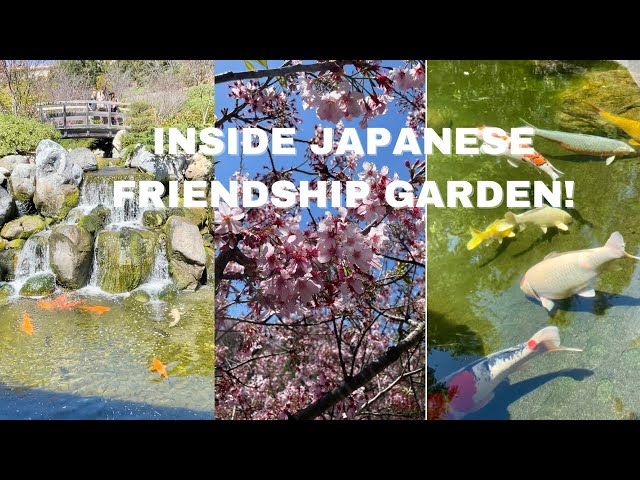 A Visit to the Garden! #japanesefriendshipgarden