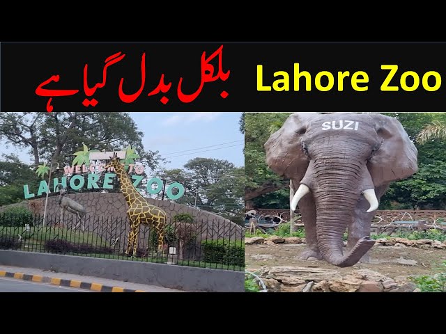 Lahore Zoo | European Style Zoo In Pakistan | Lahore Zoo Reopened 2024