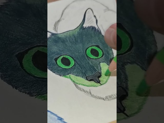 Not so Realistic Cat Drawing | How to Draw Cats the Funny way