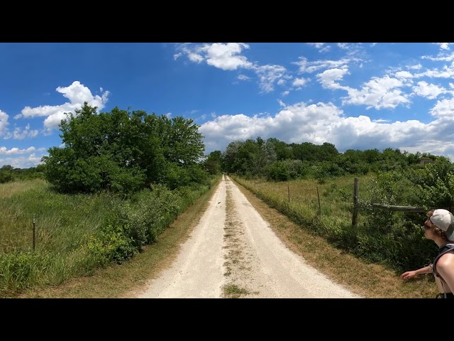 Midewin Tallgrass Prairie, IL - Bailey Bridge Trail 2 (360 Video, VR)