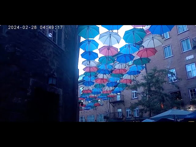 City of Umbrella Quebec Montreal.By:juniefortin