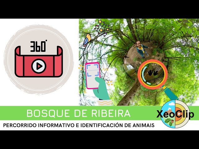 O Bosque de Ribeira | XeoClip 360º