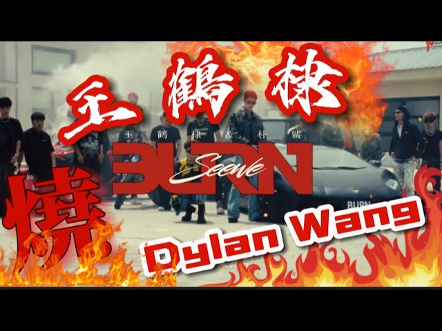 王鶴棣新歌-《燒》MV🔥Dylan Wang new song《BURN》🔥MV #王鹤棣 #dylanwang #王鶴棣 #dylanwang王鹤棣 #왕허디