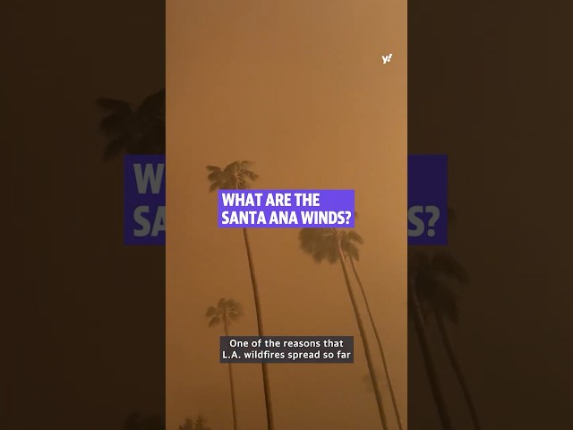 What are the Santa Ana winds?