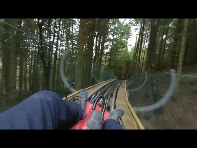 Fforest Coaster Betws y Coed in 3d 180VR