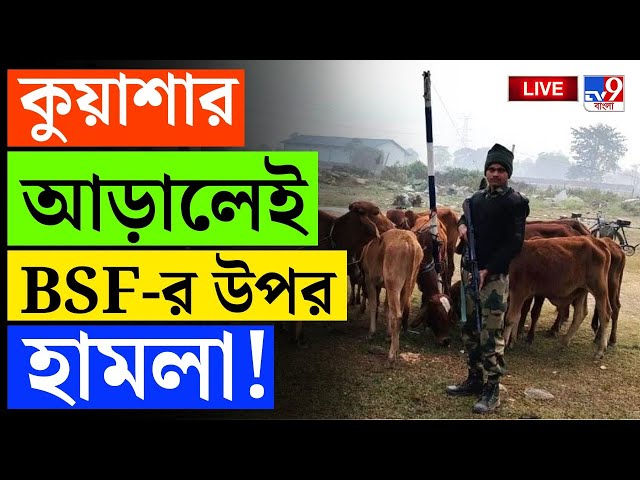 BANGLADESH BREAKING | গুলি করতেই সব ফেলে ছুট বাংলাদেশিদের | BANGLADESH | BSF | BGB | YUNUS | #TV9D