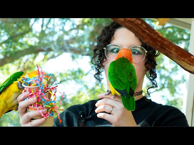 The Birds Outside Era | Live w/ Apollo the Talking Parrot