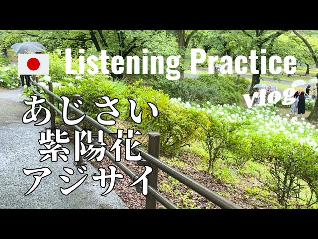 Japanese Listening Practice | The Impression Difference between Kanji, Hiragana, Katakana