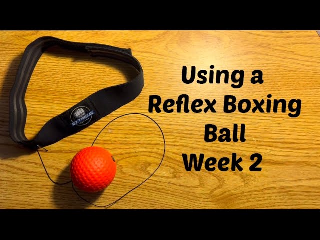 Using a Reflex Boxing Ball (Week 2)