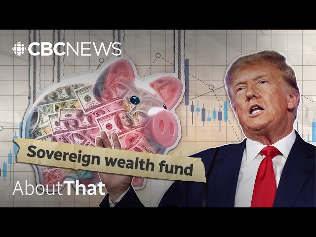 Here's why Trump wants to start stockpiling U.S. wealth | About That