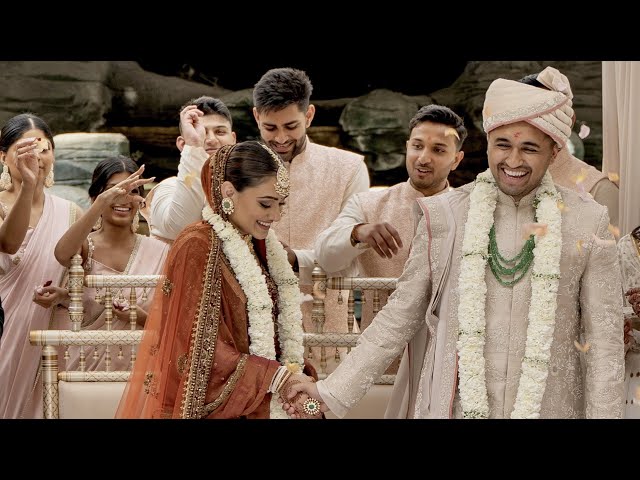 Jully & Shahil Wedding | Indian Wedding Highlight Video | Gaylord Palms Resort