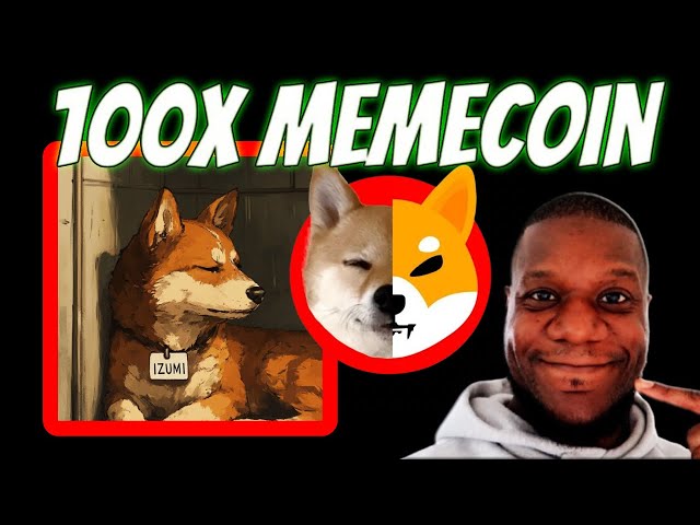 Izumi Chan $IZUMI Is Neiro $HANA Is Shiba Inu 100-1000x Memecoin Origin Narrative