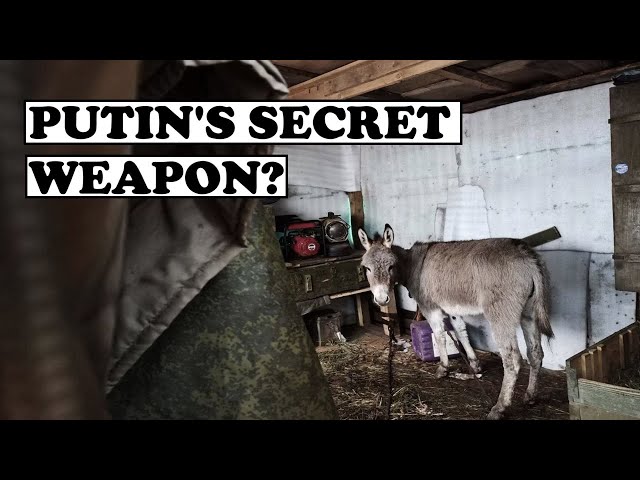 RUSSIAN WARBLOGGERS ARE BAFFLED AND ENRAGED: 'WHY ARE WE USING COMBAT DONKEYS ON THE FRONT'? || 2025