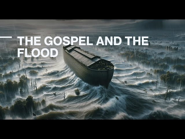 Creation vs Evolution: The Gospel and the Flood - Elder Eric Walsh