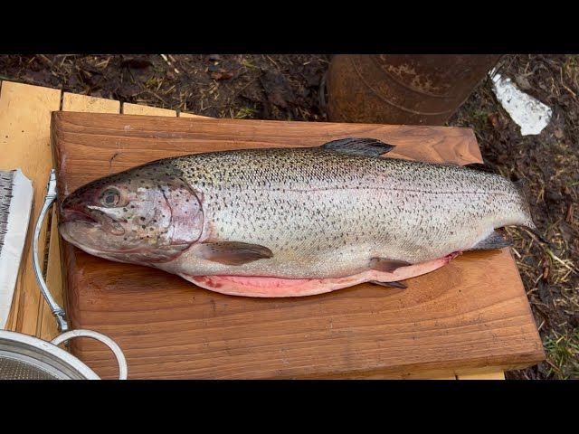 I Made a Big and Delicious Fish Dinner in the Forest!