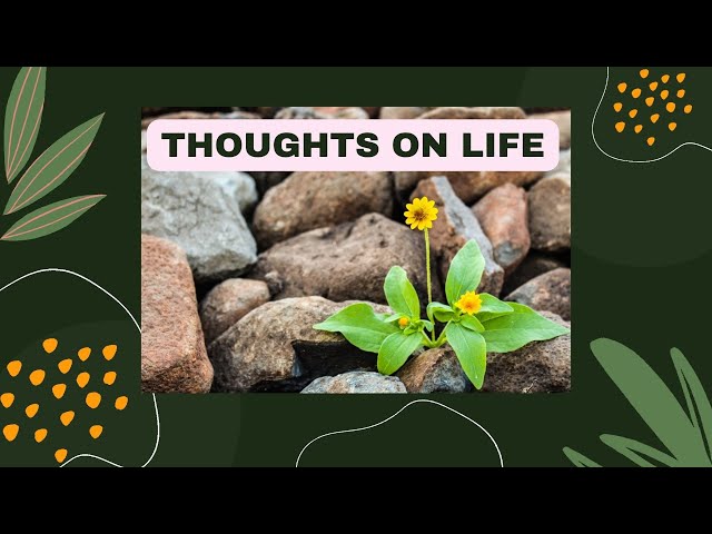 Thoughts For Life || Quotes || Beautiful Words For Beautiful Life || #youtubevideo #thoughtsforlife