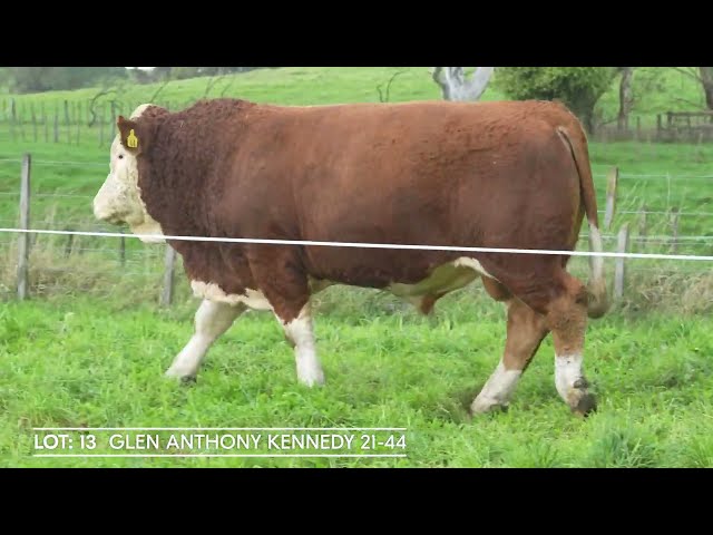 Lot 13 GLEN ANTHONY KENNEDY 21 44