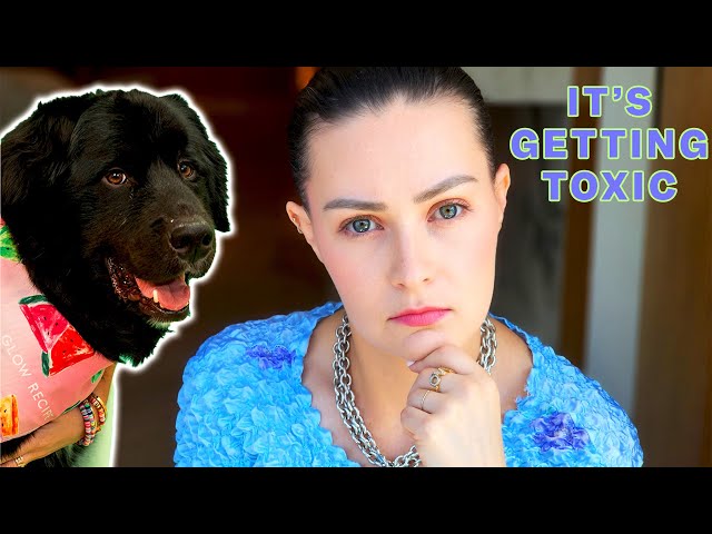 Let’s talk about toxic service dog culture…