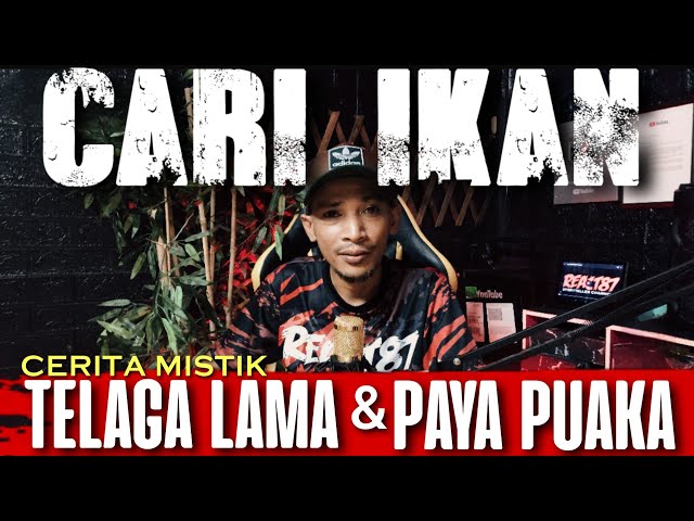 TELAGA PENUH IKAN- PAYA PUAKA[KISAH MISTERI]