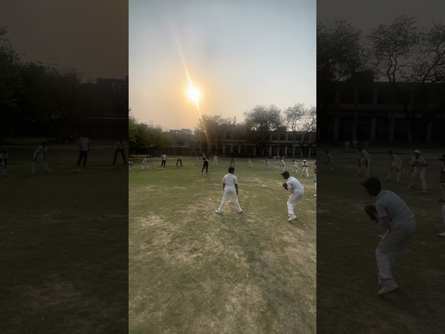 Grasp the Moment Short Catching Mastery in Cricket#cricketcoaching #cricketlover #cricket #motivatio