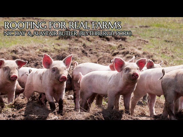 Rooting for Real Farms: Nic Day and Alastair Butler (Blythburgh Free Range Pork)