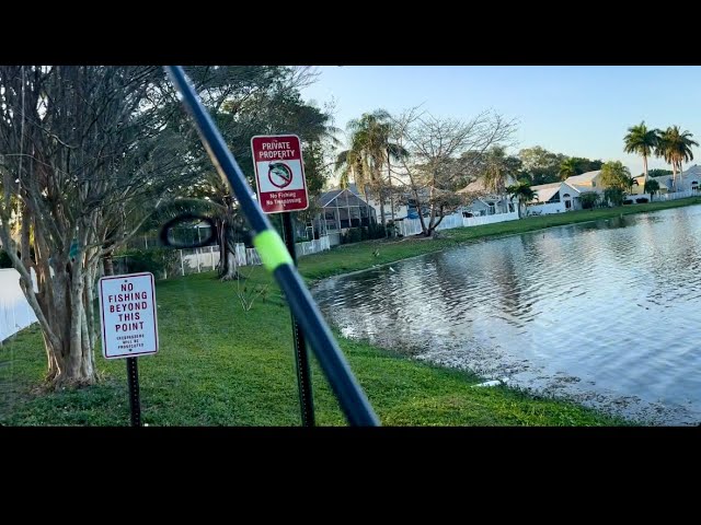 Fishing where I’m not suppose to ! Private Property holds Big Fish !