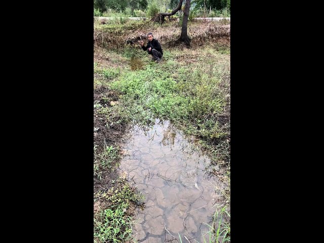 Rural outdoor, my rural living mountains, streams and streams, shaking water for a few minutes and