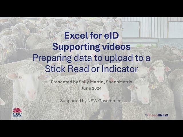 Excel for eID – Preparing data to upload to a stick reader or indicator