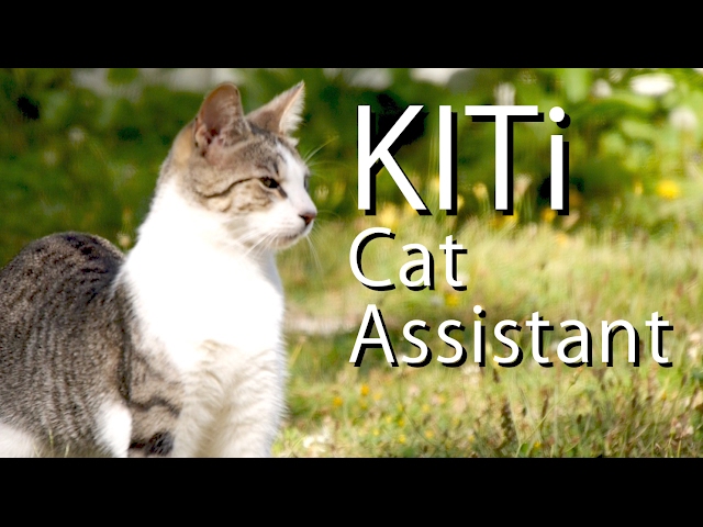 KITi The Virtual Cat Assistant - PARODY