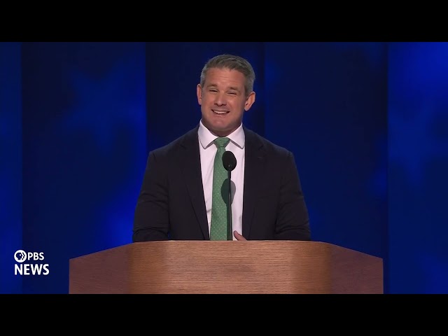 WATCH: Former Republican Rep. Adam Kinzinger speaks at 2024 Democratic National Convention