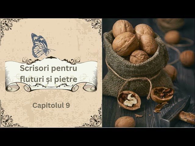 Scrisori pentru fluturi și pietre de Călin Gruia - Capitolul 9/89 - Audiobook