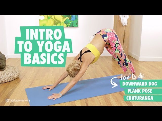 YOGA FOR BEGINNERS  - Learn Downward Dog, Plank Pose, and Chaturanga