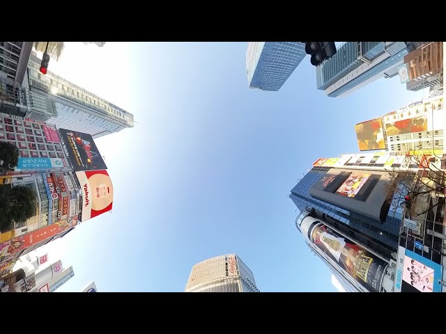 Shibuya crossing! (360 video)